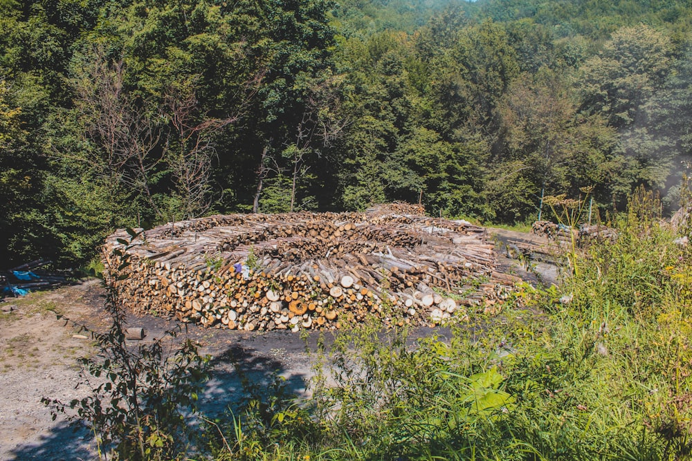 a pile of logs sitting in the middle of a forest