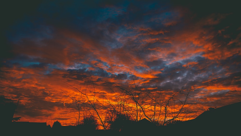 Un cielo rojo y azul con nubes y árboles