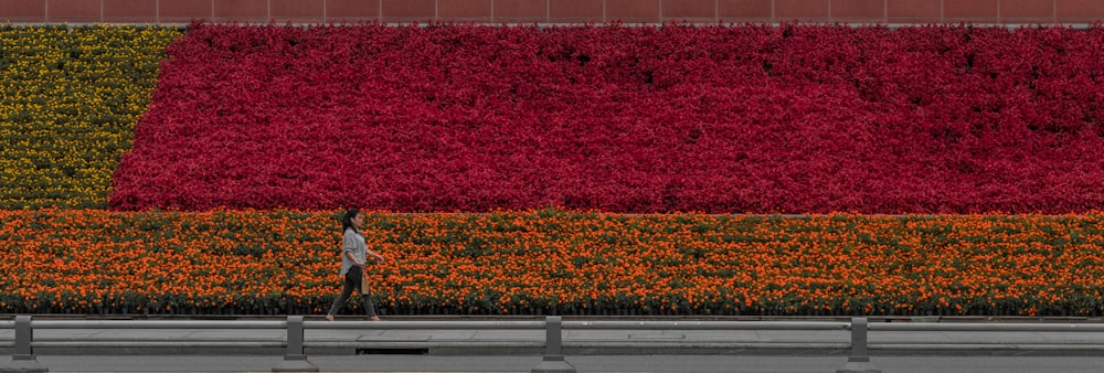 a person walking down a street next to a field of flowers
