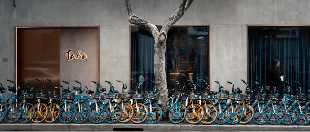 a bunch of bikes parked next to each other