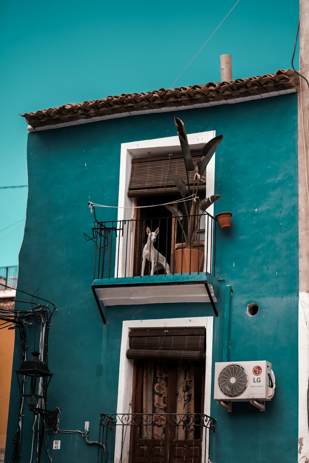 a blue building with a dog on a balcony