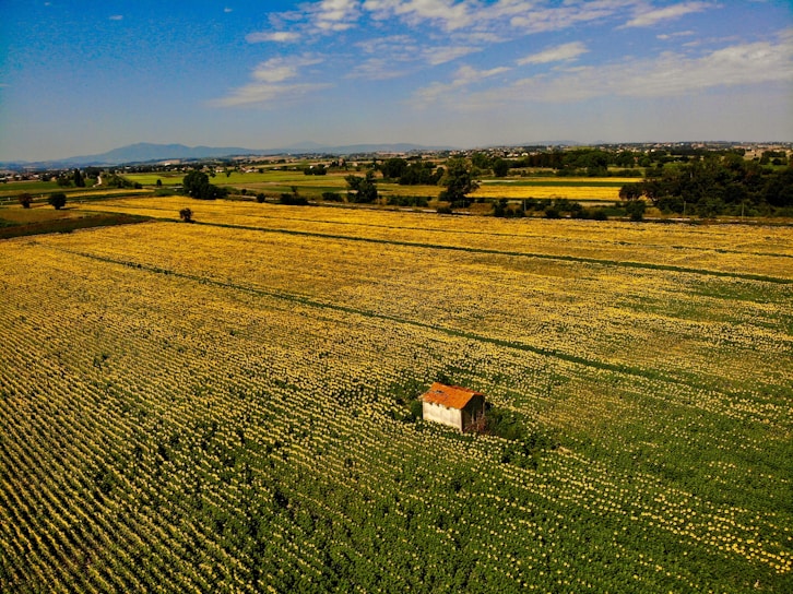 an aerial view of a farm field with a barn in the middle