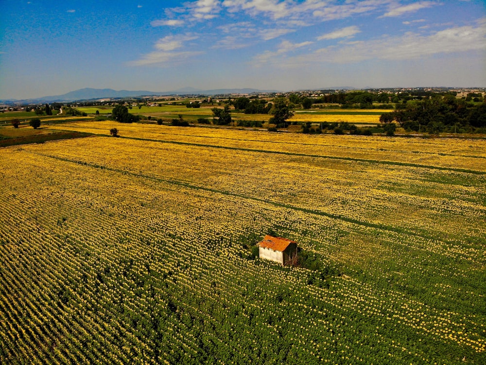 an aerial view of a farm field with a barn in the middle