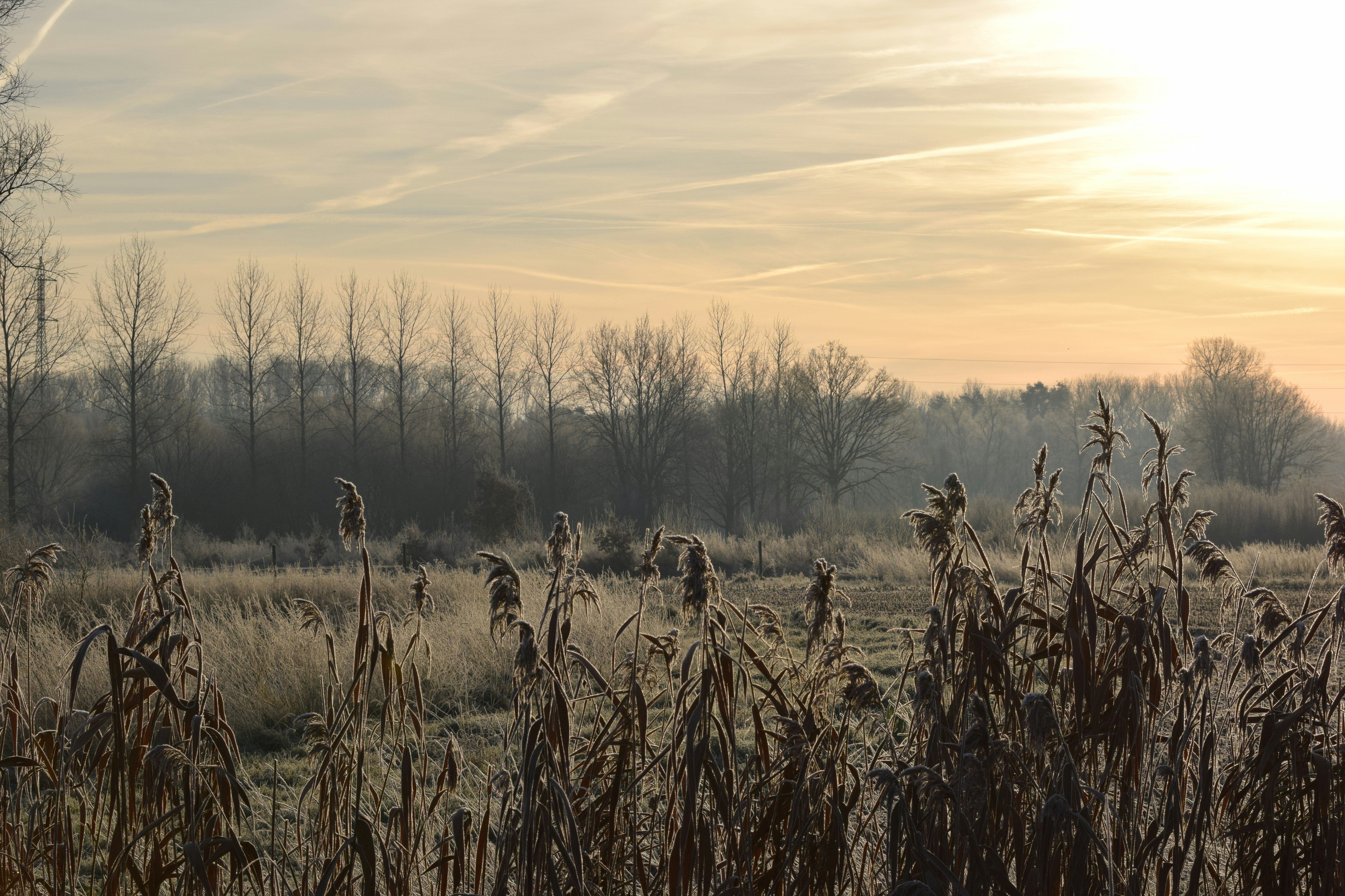 Photo by kristofser_87