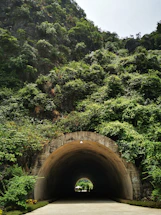 A sturdy underground shelter entrance surrounded by lush greenery on a sunny day.