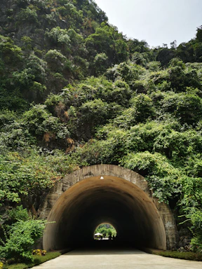 A sturdy underground shelter entrance surrounded by lush greenery on a sunny day.
