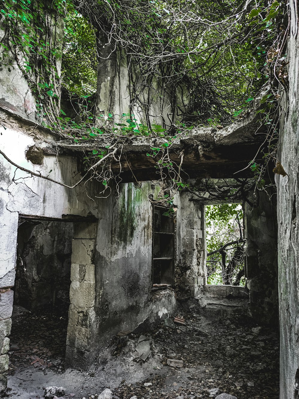 a run down building with vines growing over it