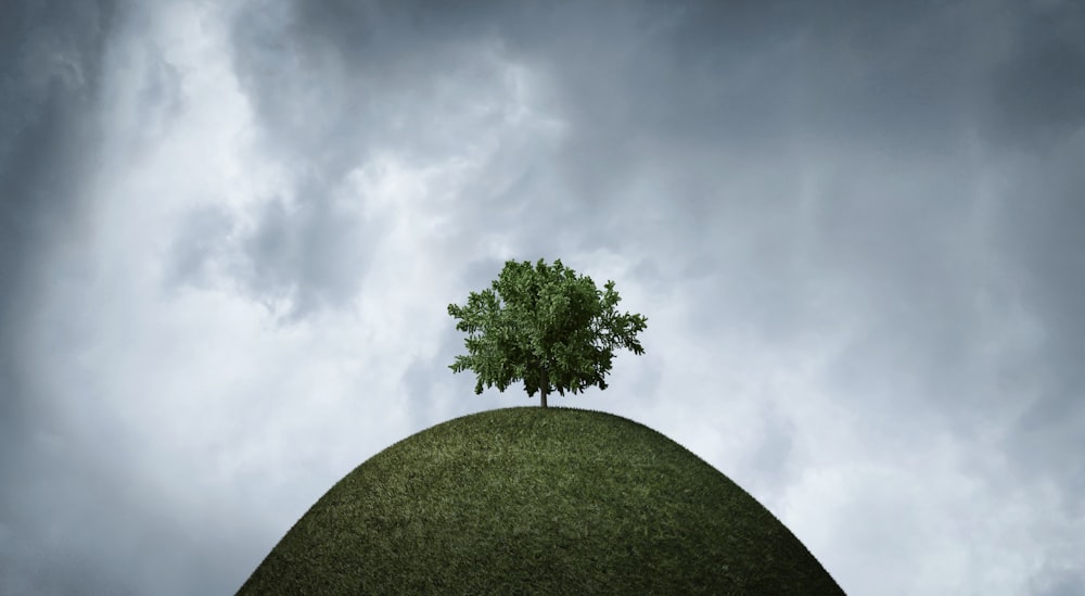 a tree on top of a hill under a cloudy sky