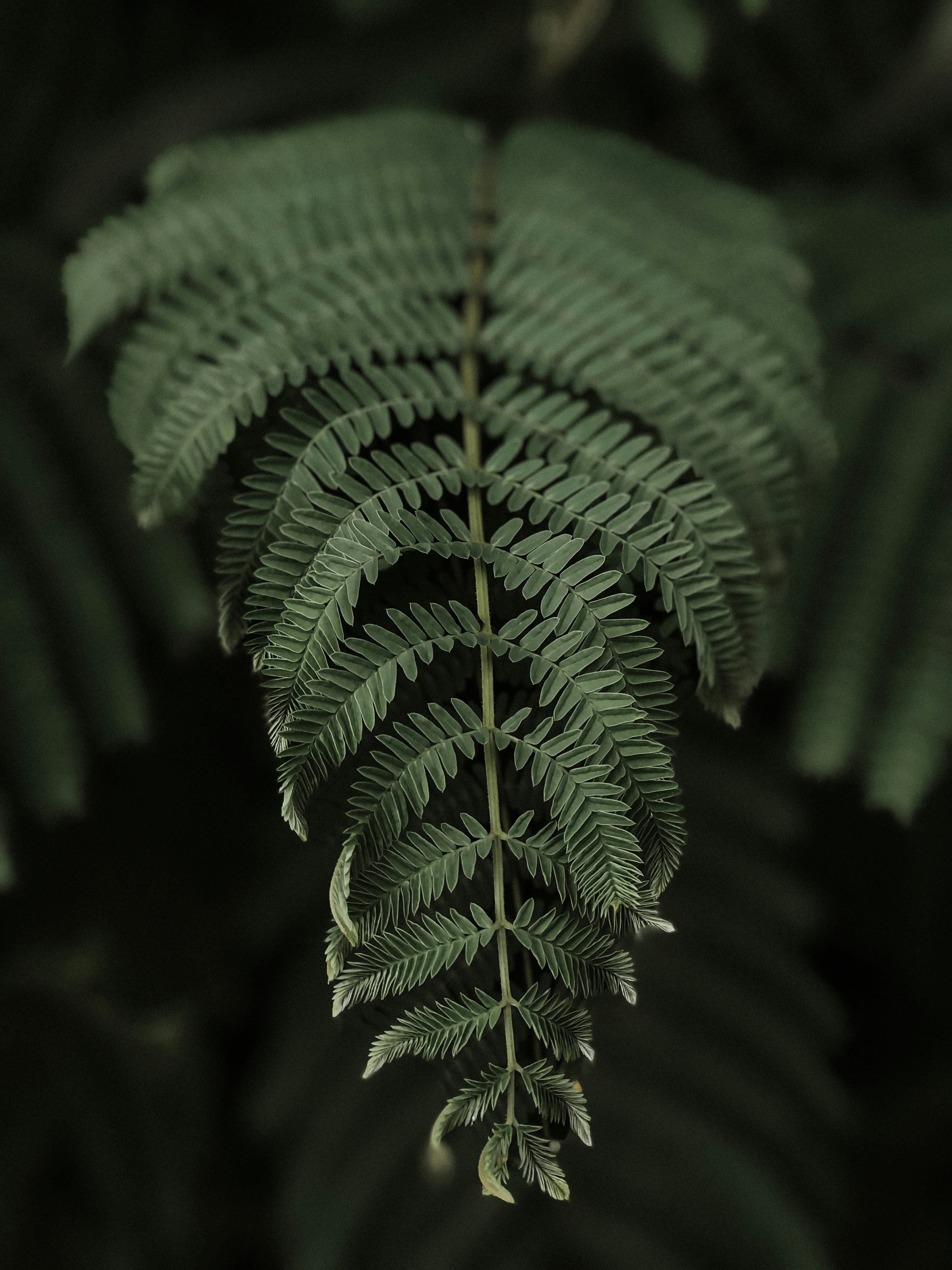 Photo by patricciamoura