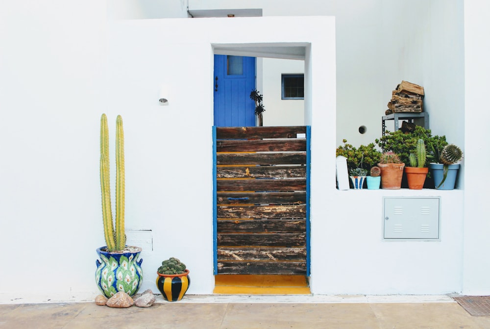 Una casa con una porta blu e un cactus accanto