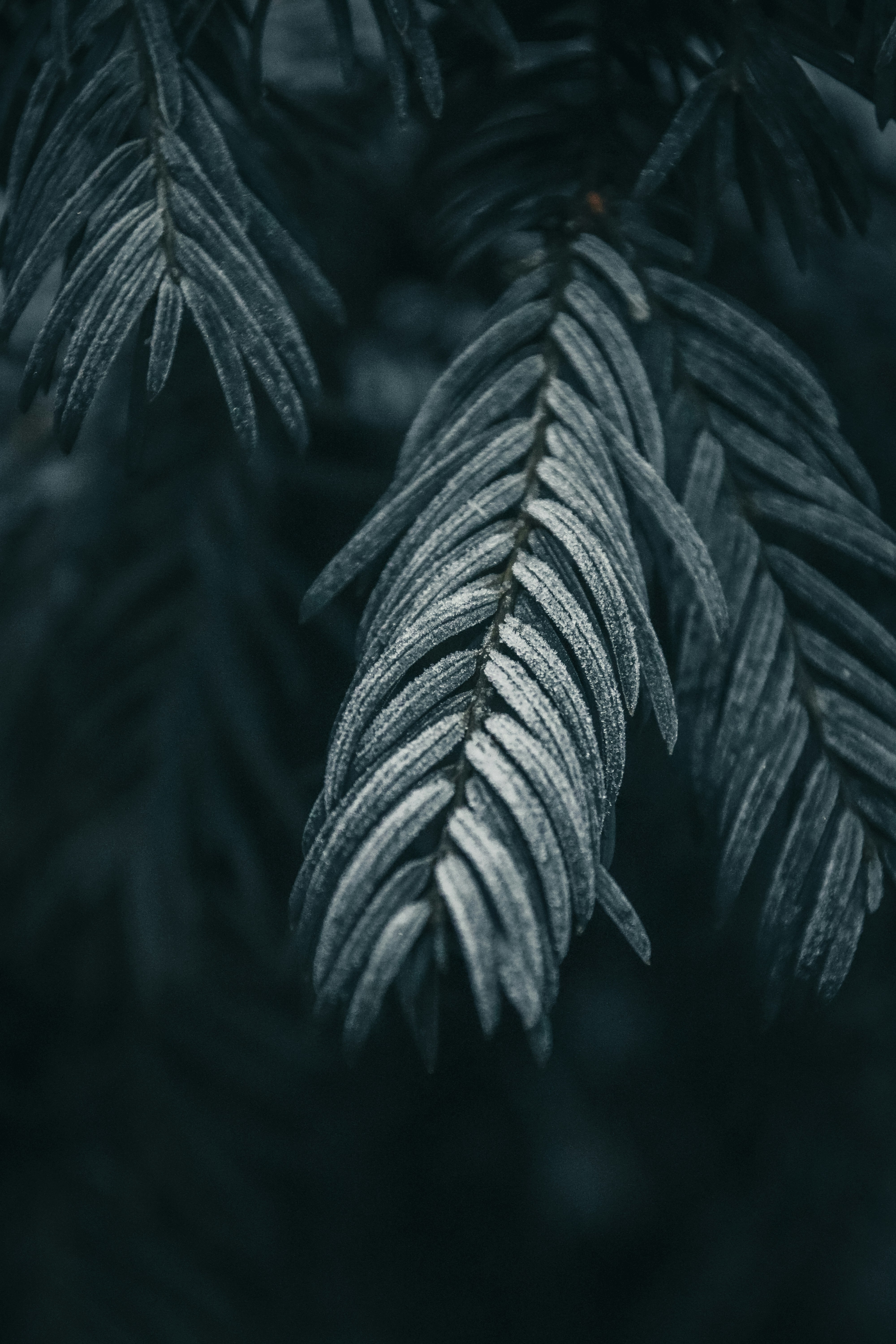 https://images.unsplash.com/photo-1640177469193-148eeed13e0d?ixlib=rb-4.1.0&q=80&fm=jpg&crop=entropy&cs=tinysrgb&w=400&fit=max
