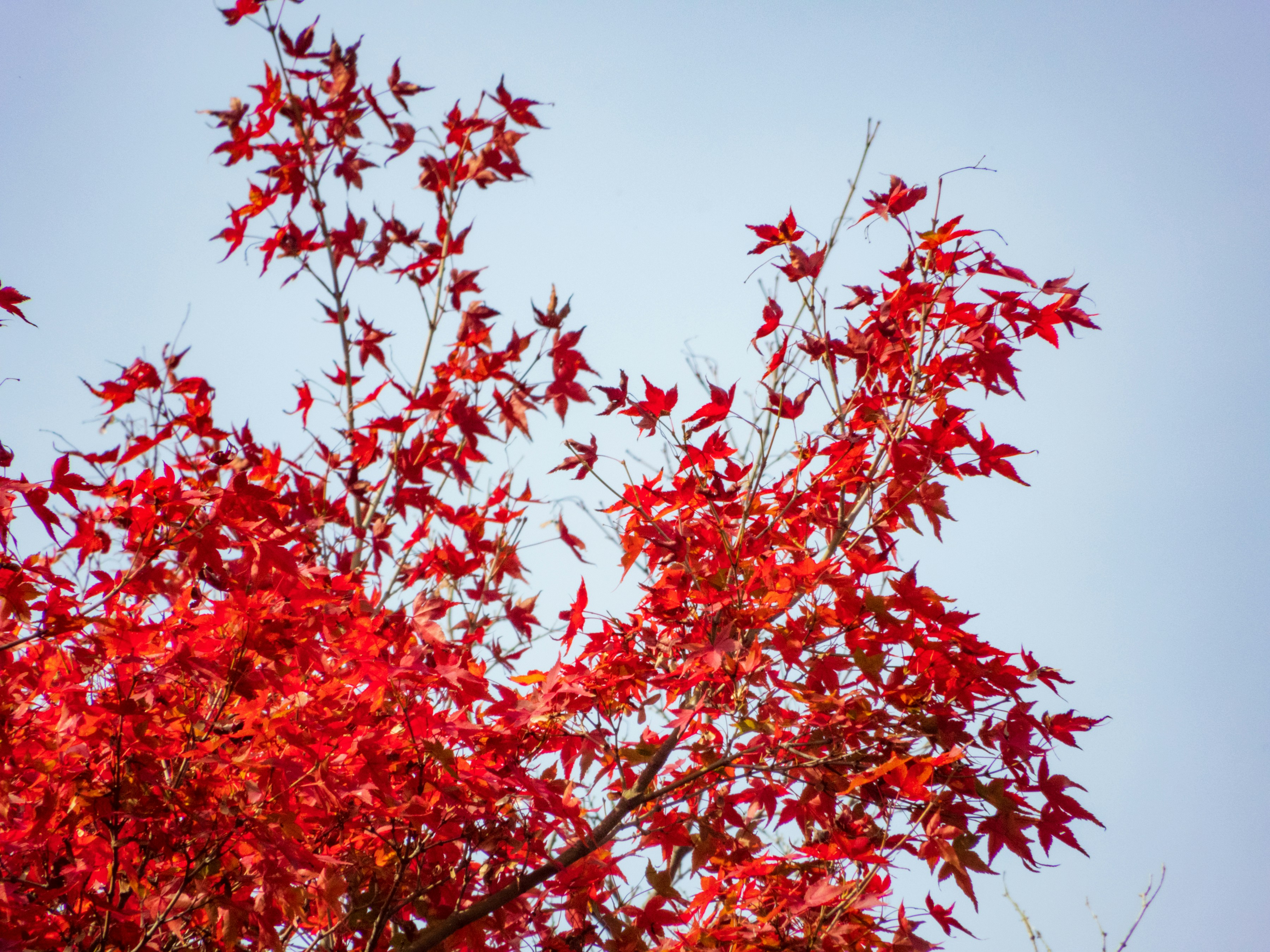 Photo by heppoko_yama