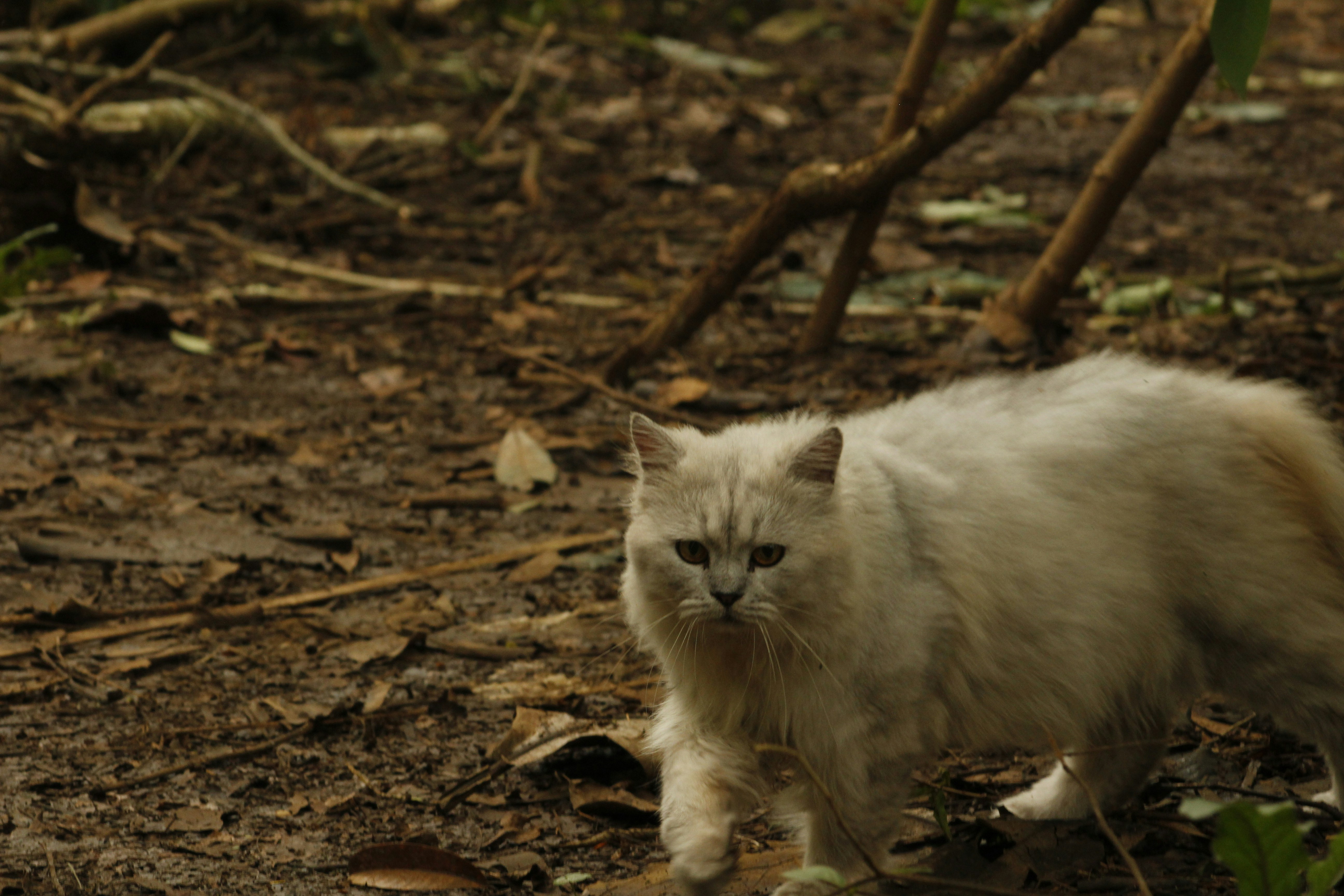 Photo by ricky_fajar_wisnu_adiputra