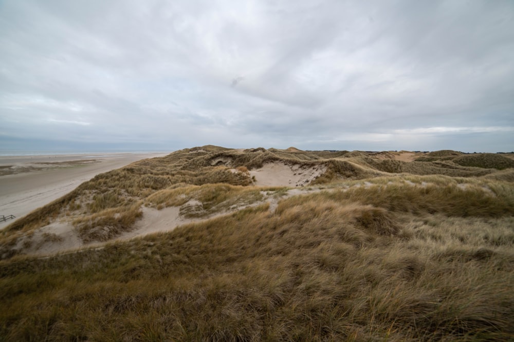 a sandy beach covered in grass under a cloudy sky