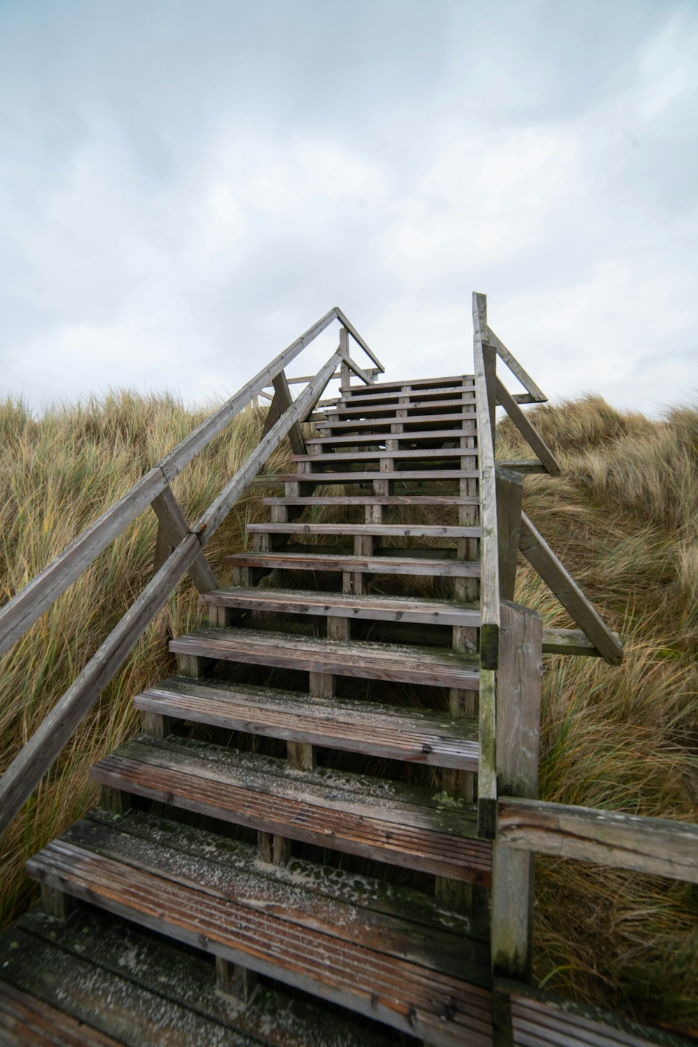 a wooden staircase going up a grassy hill