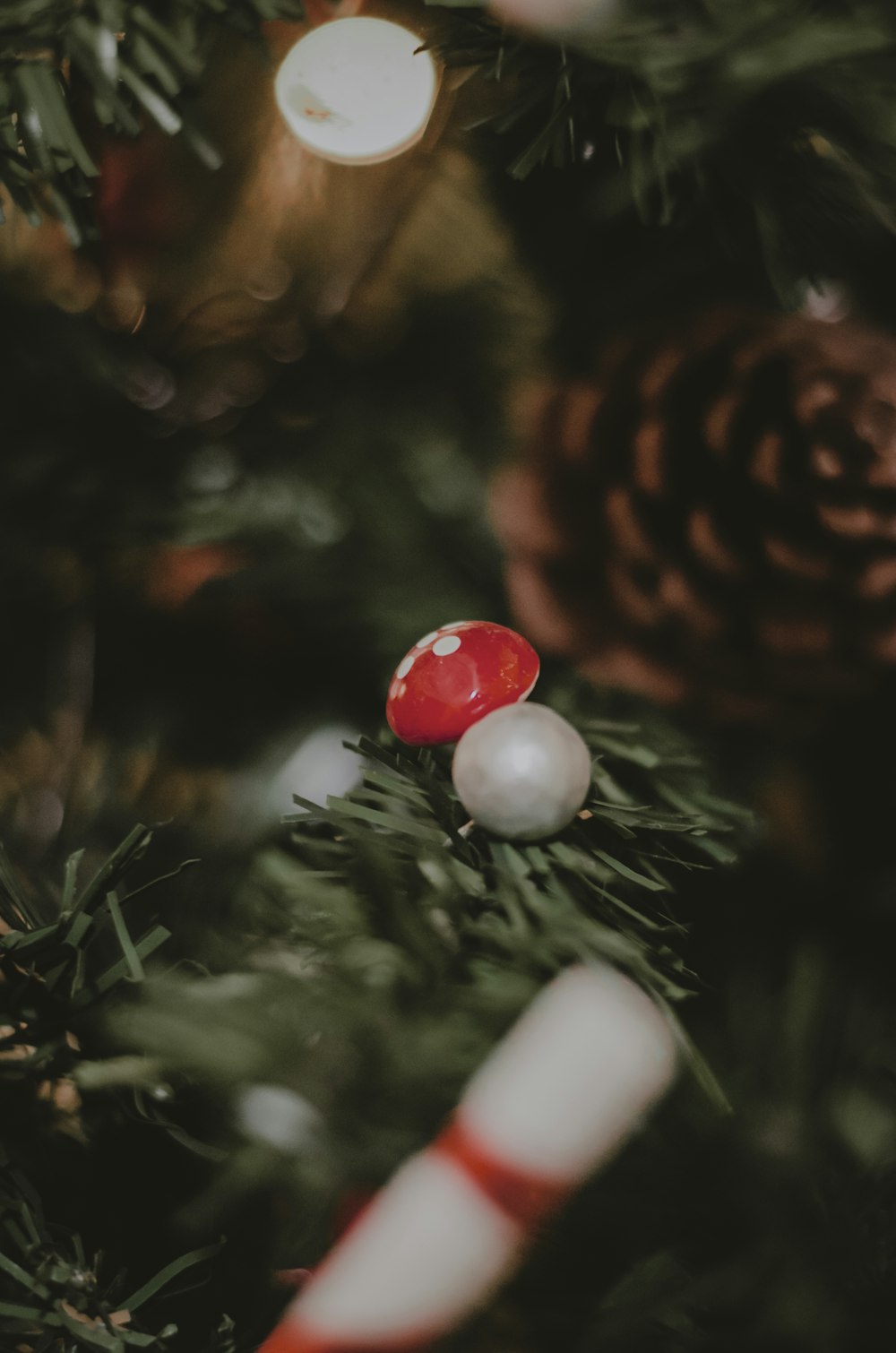 a close up of a christmas tree with candy canes