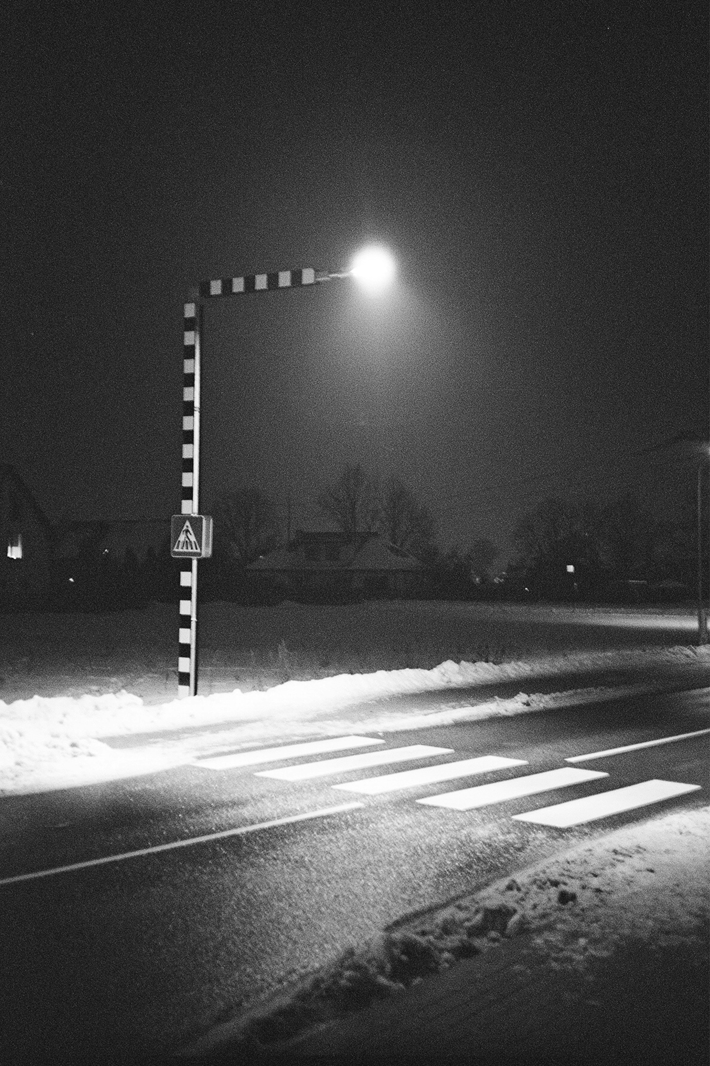 Marcin Świetlicki, "Photograph"