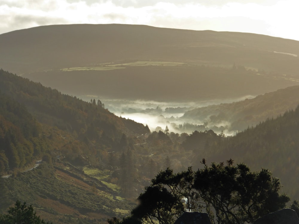 a view of a valley in the mountains