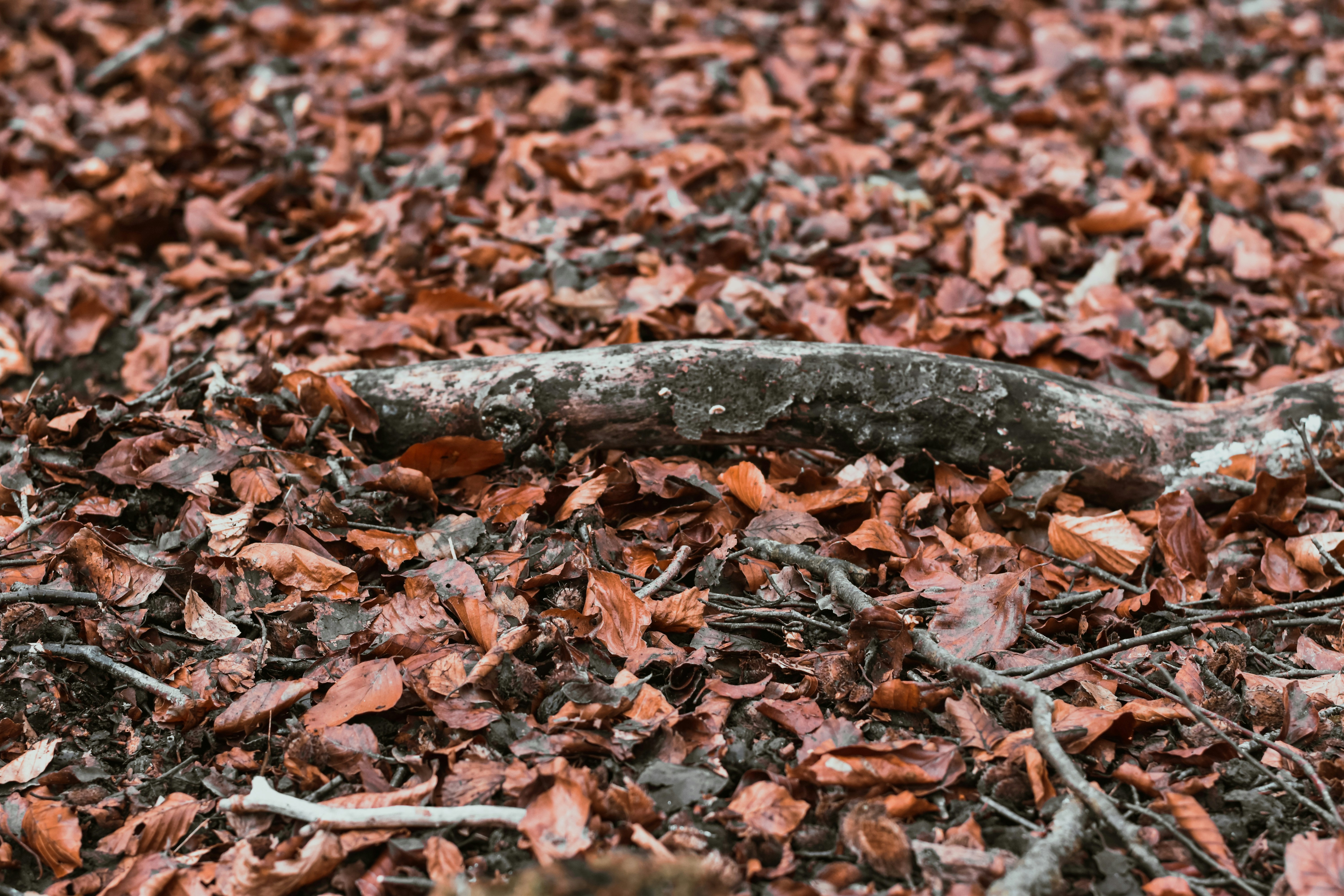 Photo by elliottmason