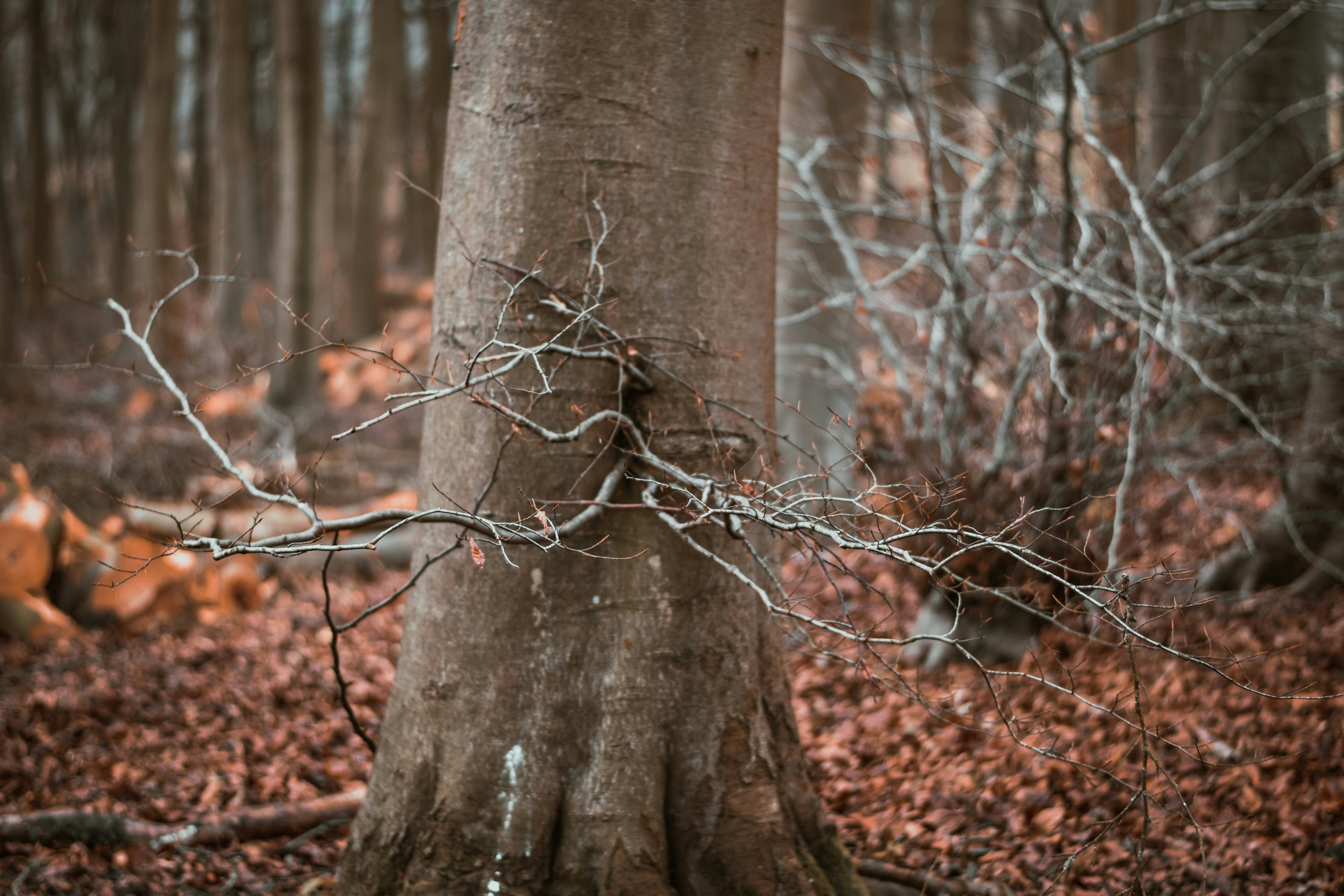 Photo by elliottmason