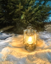 Cozy winter scene with a glowing lantern beside a snow-covered pine tree.