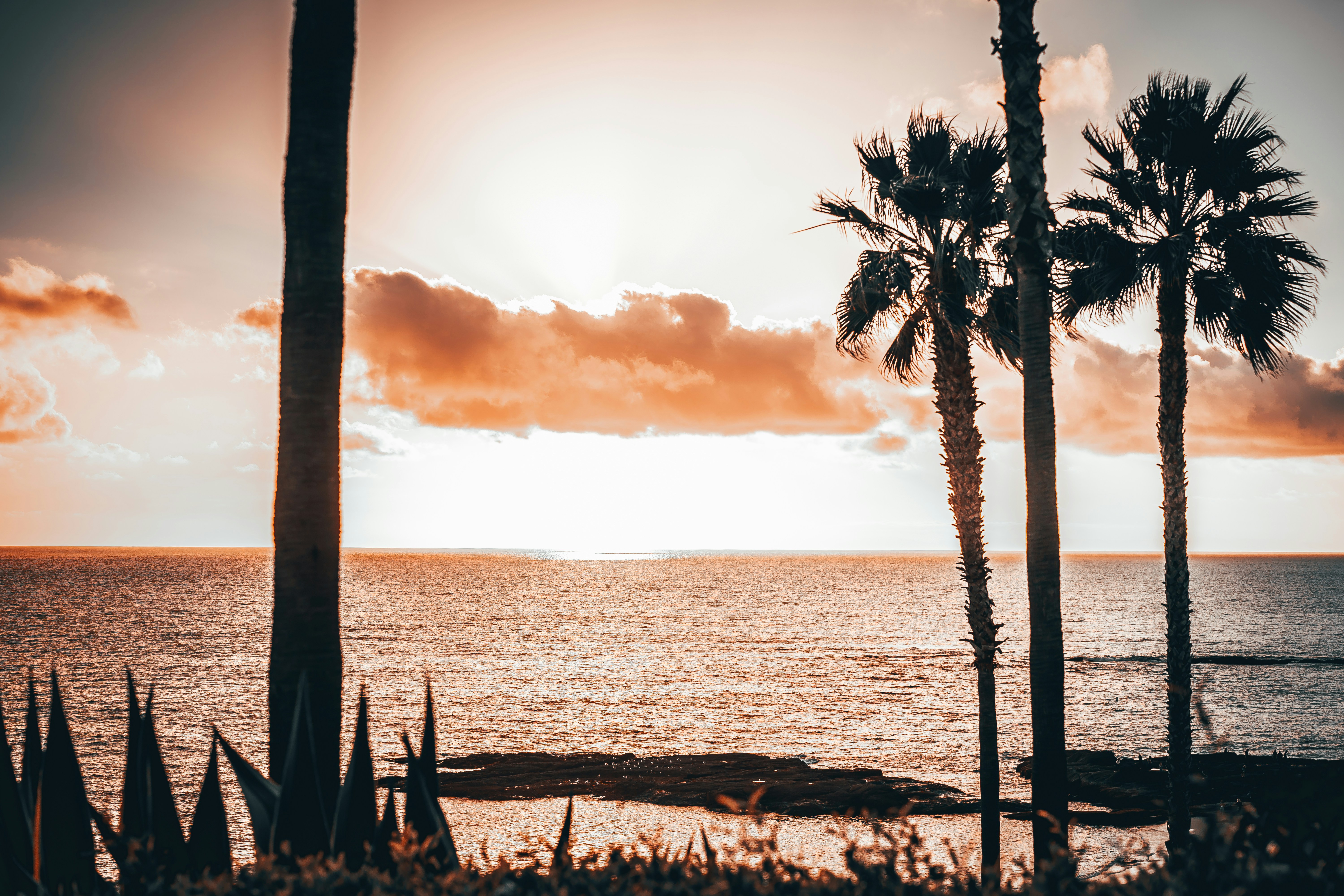 Photo by marty_made_it