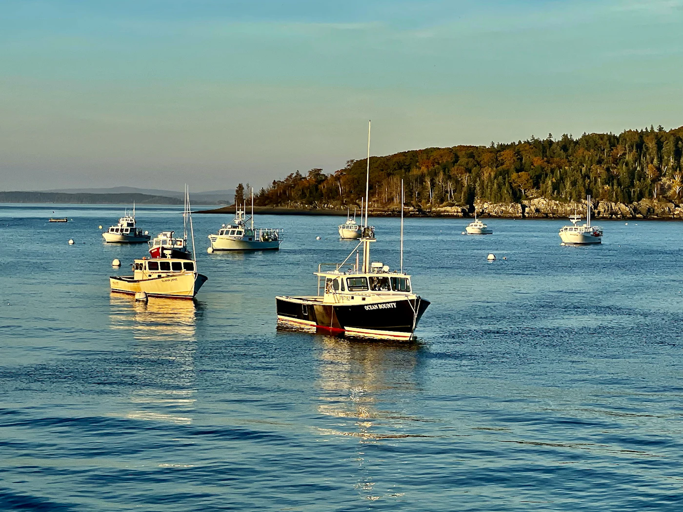 Boats moored in the harbor at Bar Harbor, Maine