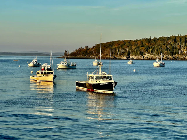 Boats moored in the harbor at Bar Harbor, Maine