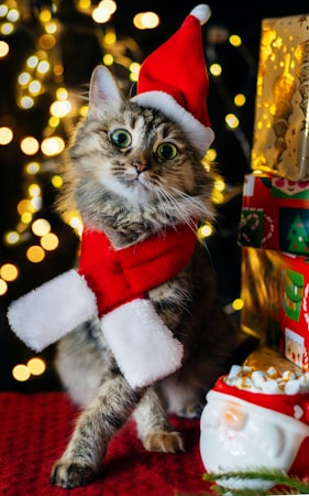 A fluffy tabby cat wearing a red and white Santa hat and scarf poses next to brightly colored Christmas presents. The background features soft, warm bokeh lights that add a festive atmosphere to the scene.