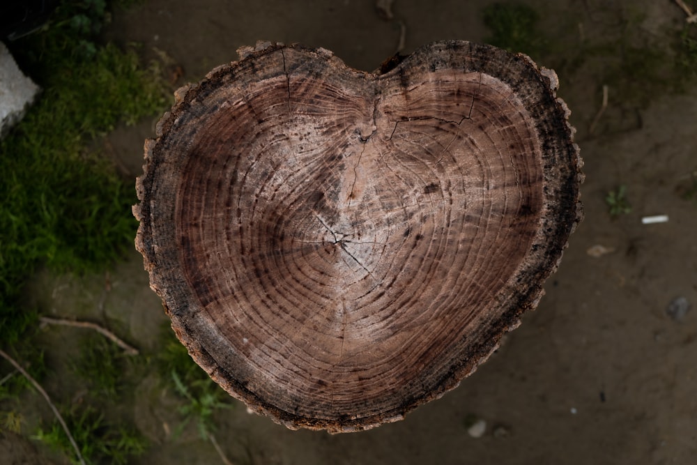 a piece of wood that has been cut in half