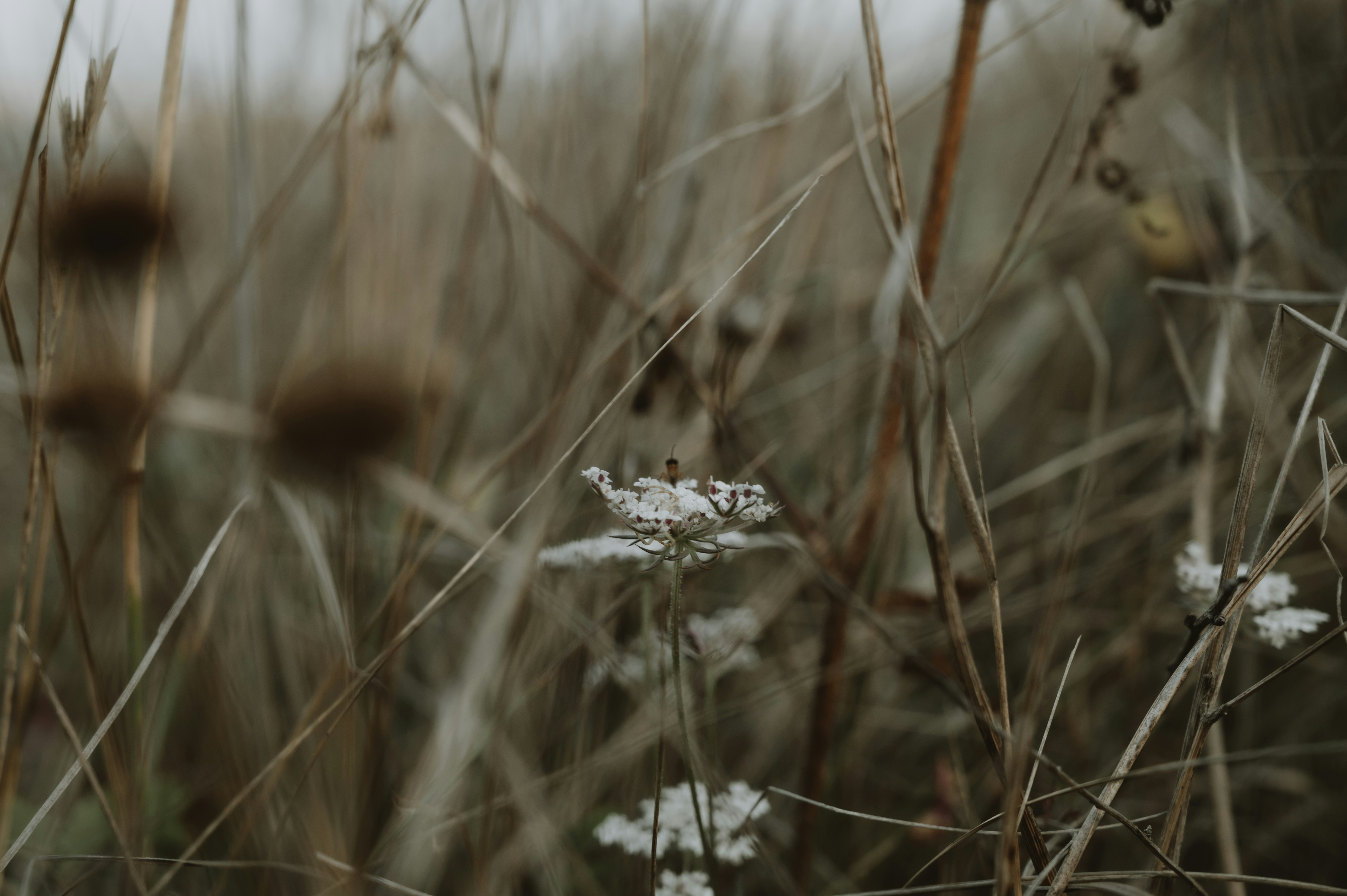 Photo by virginiaphotostories