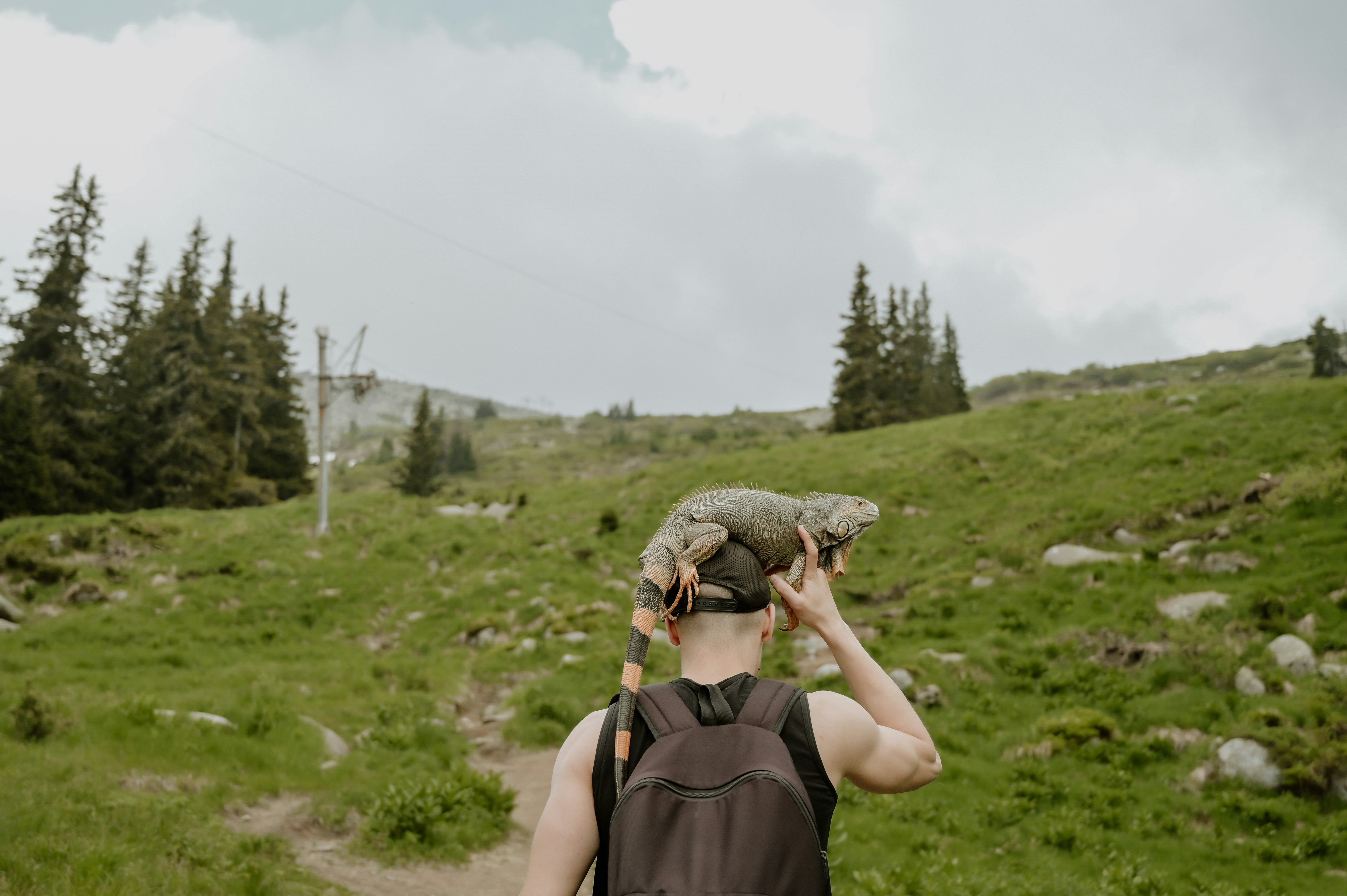 Photo by virginiaphotostories