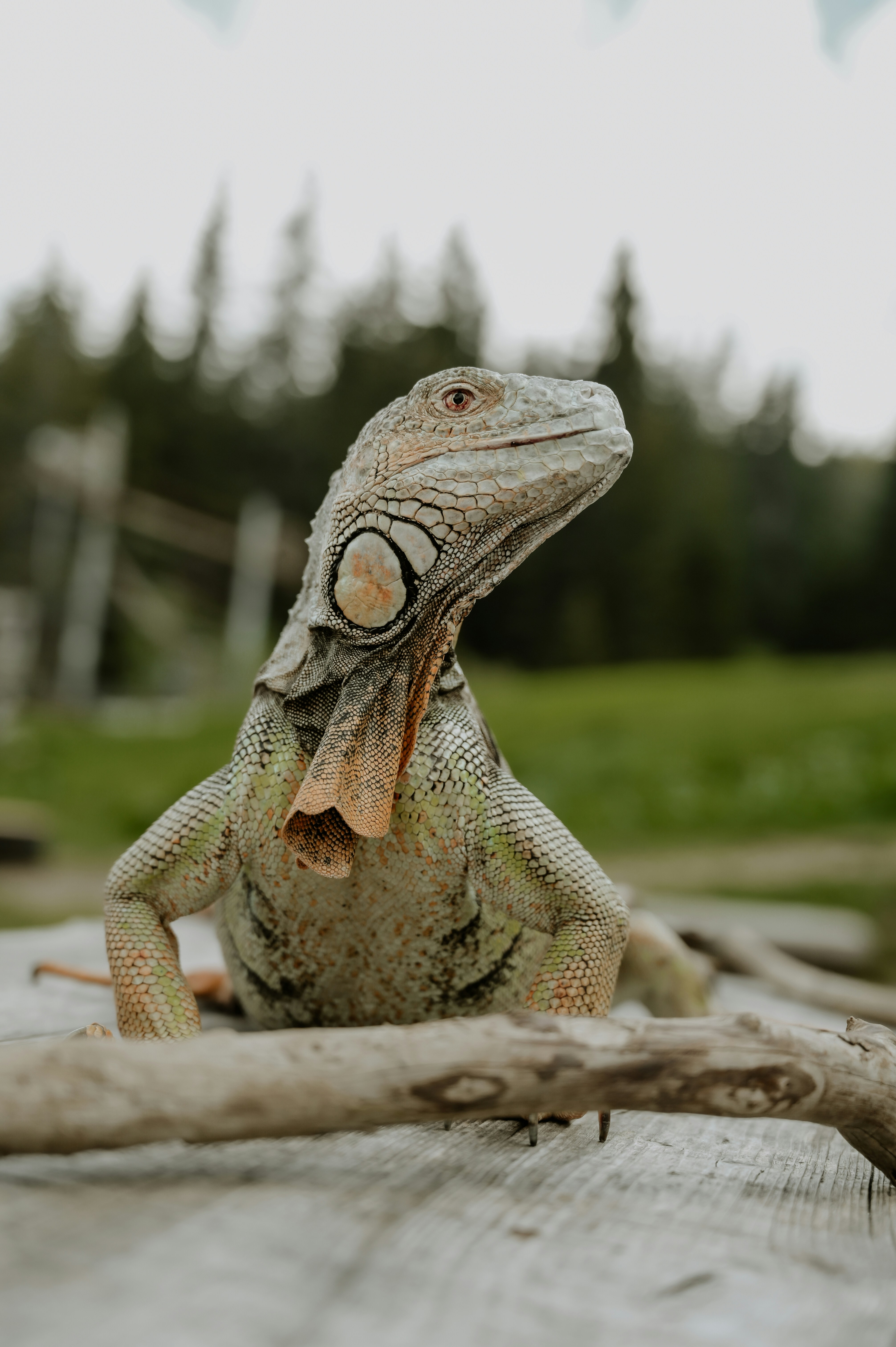 Photo by virginiaphotostories