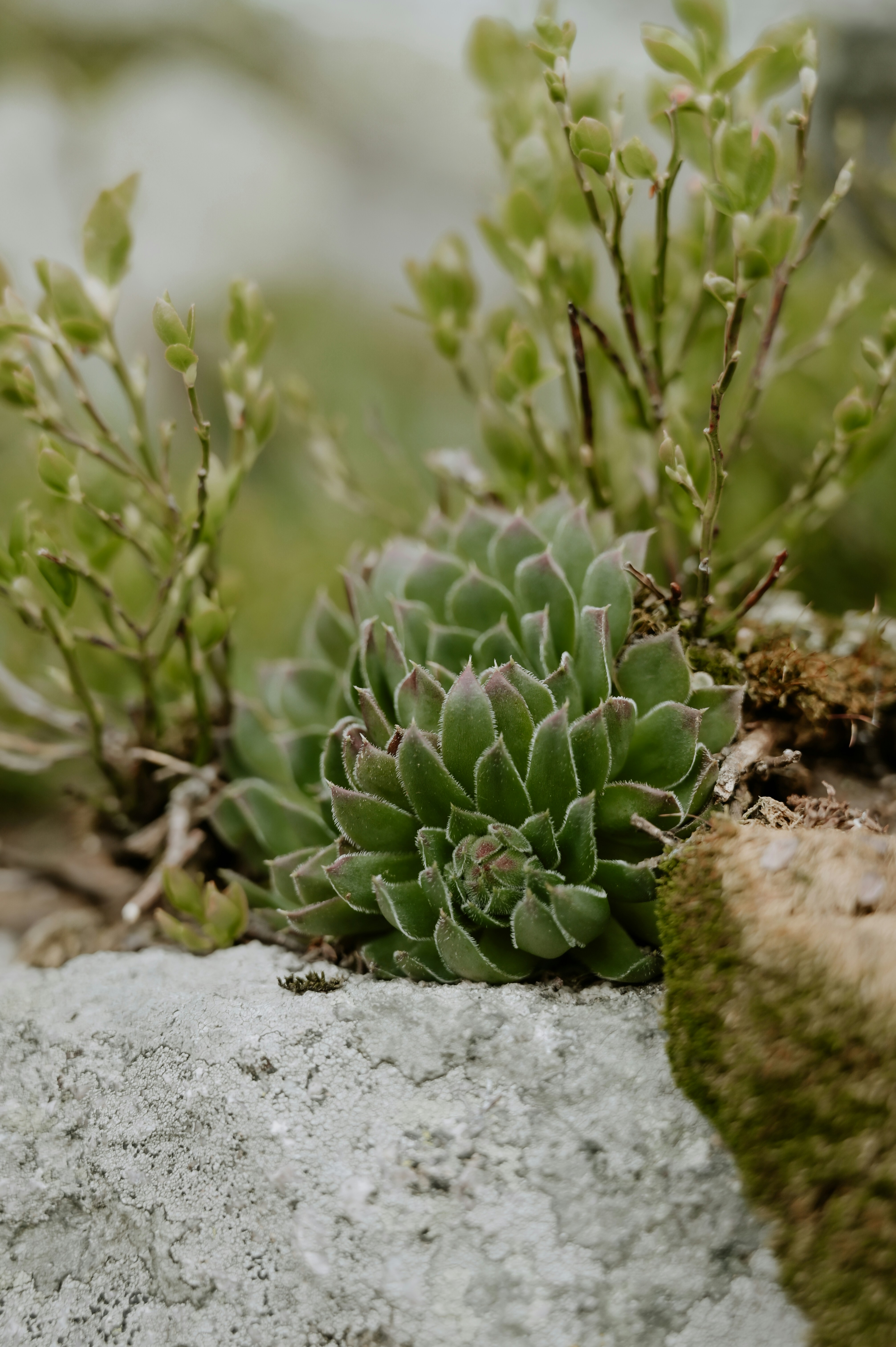 Photo by virginiaphotostories