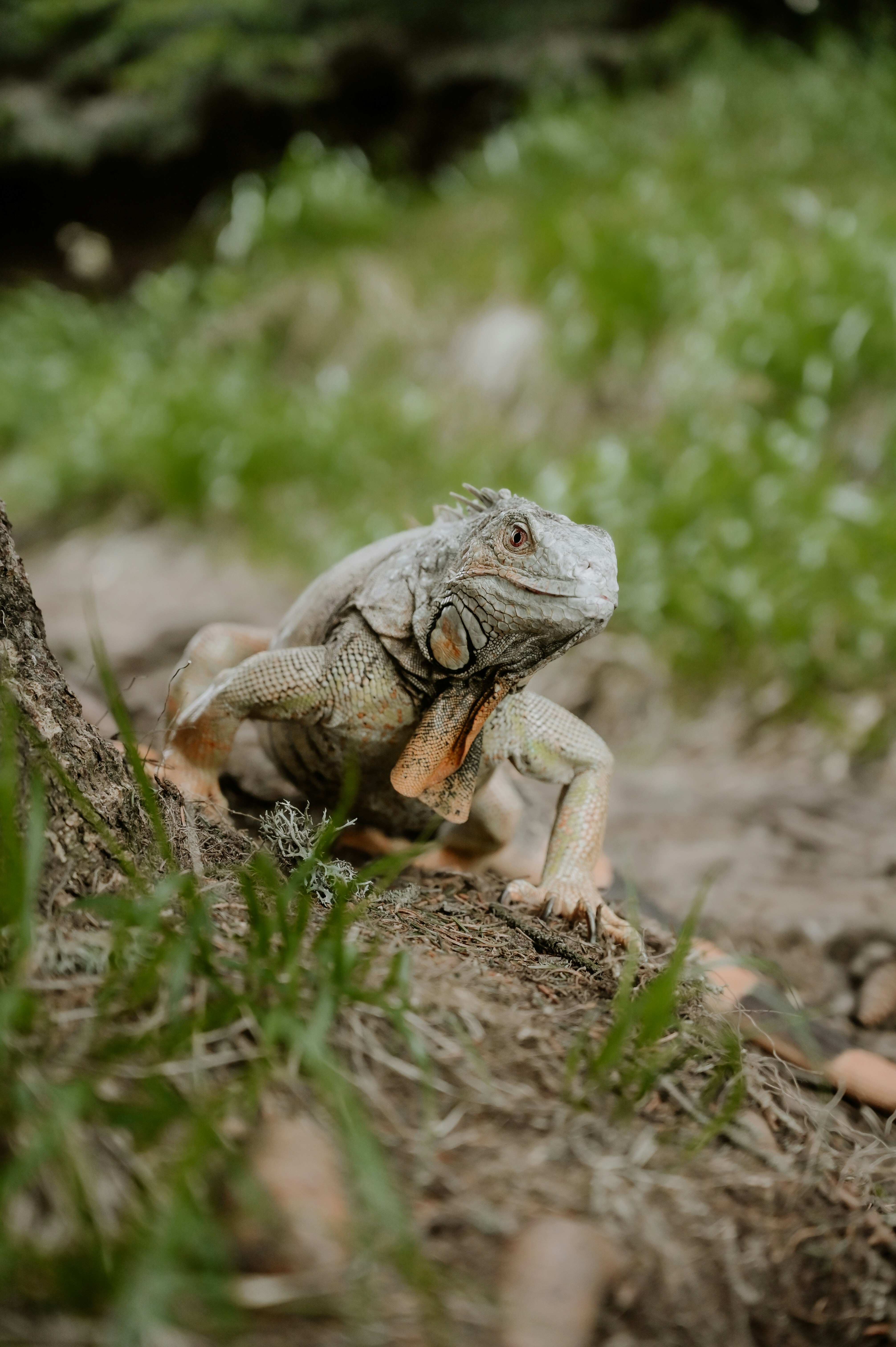 Photo by virginiaphotostories