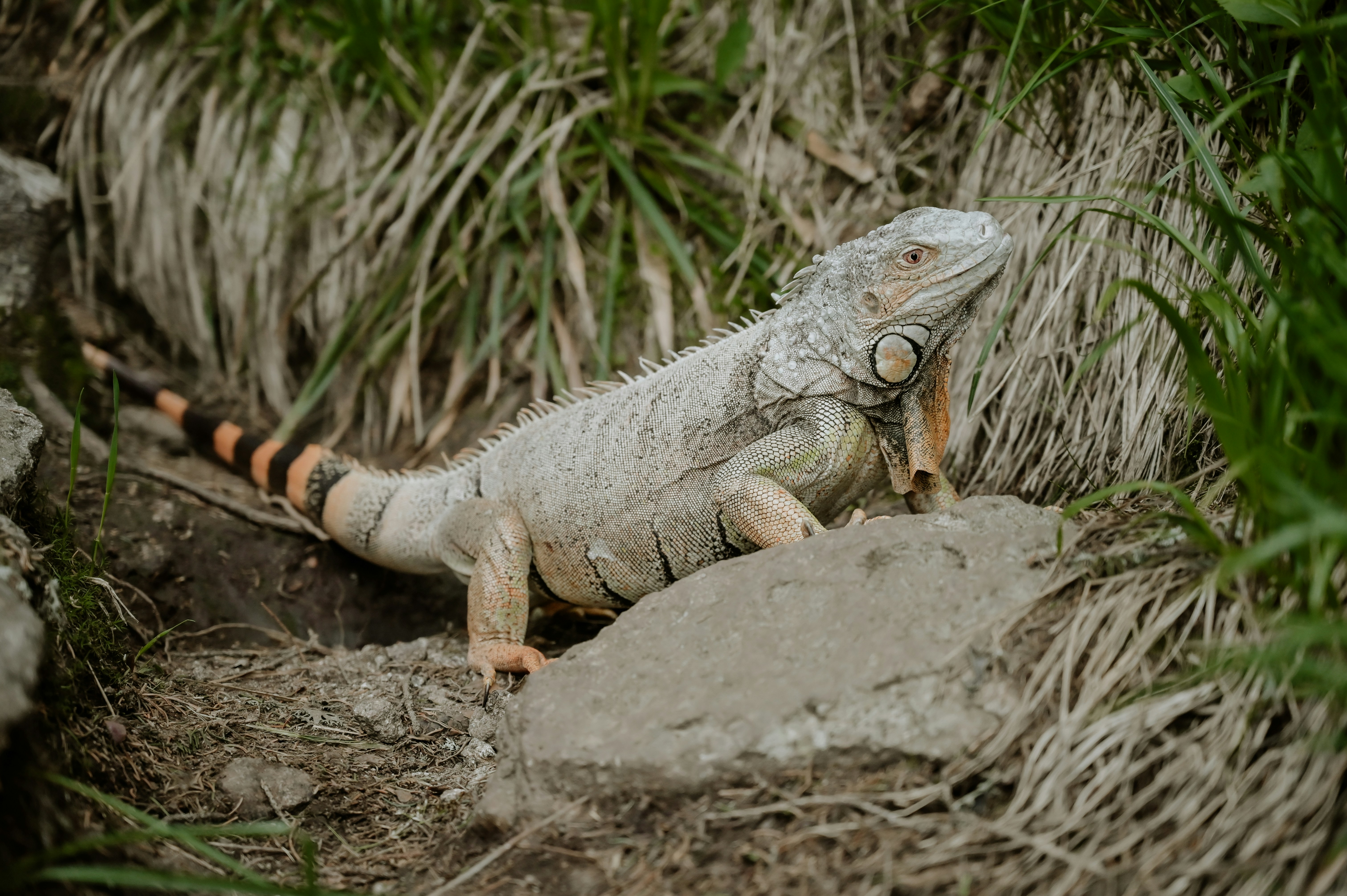 Photo by virginiaphotostories