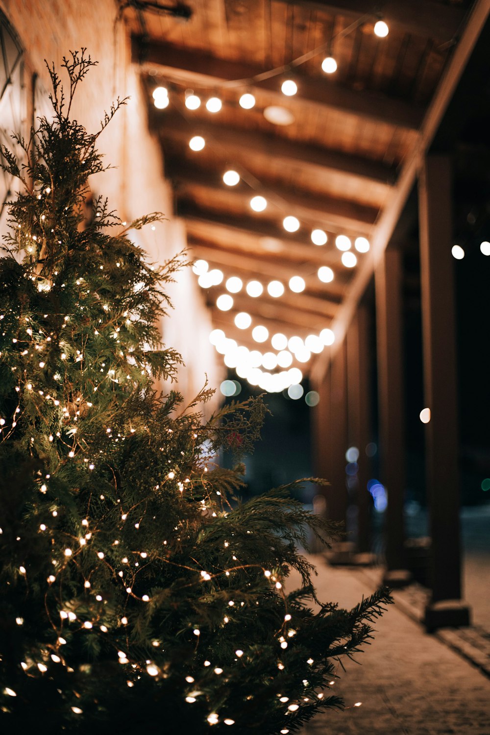 a lit christmas tree in front of a building