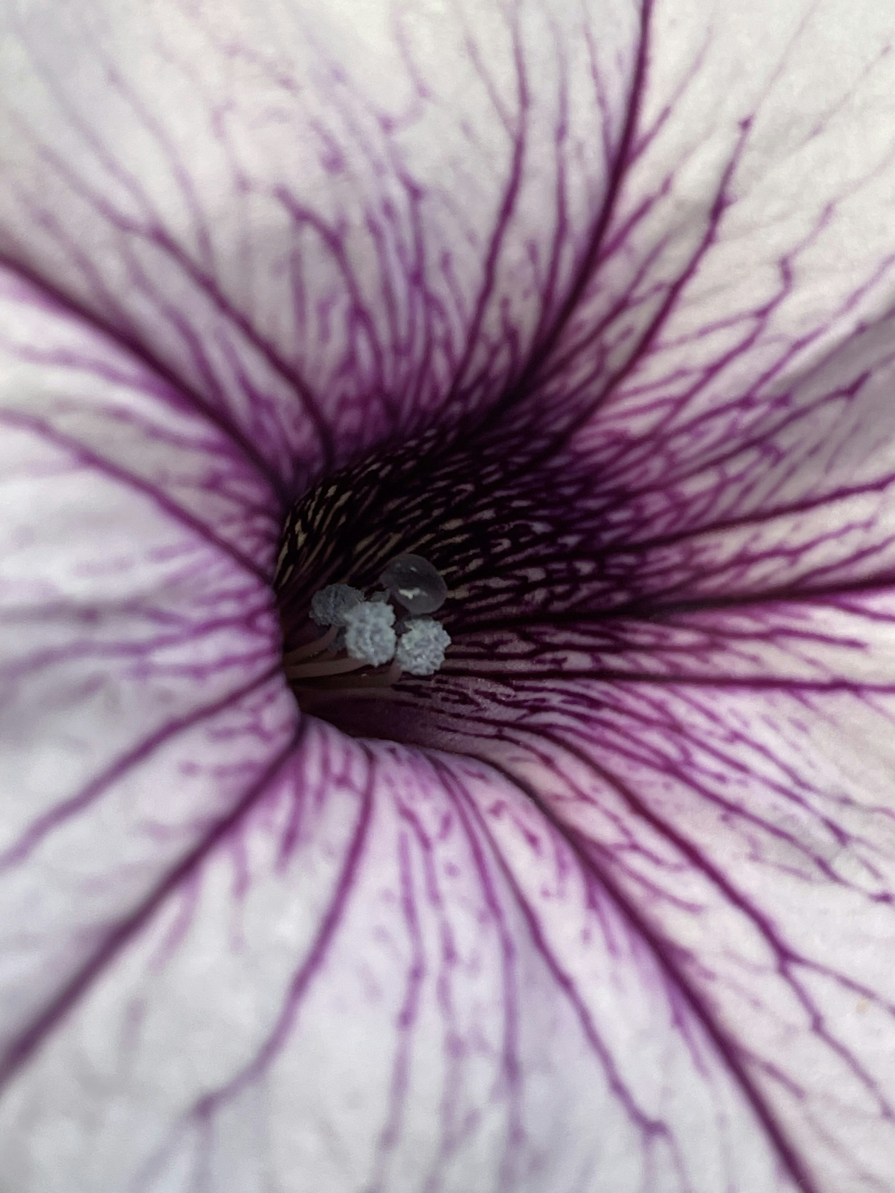 Photo by vividsketches