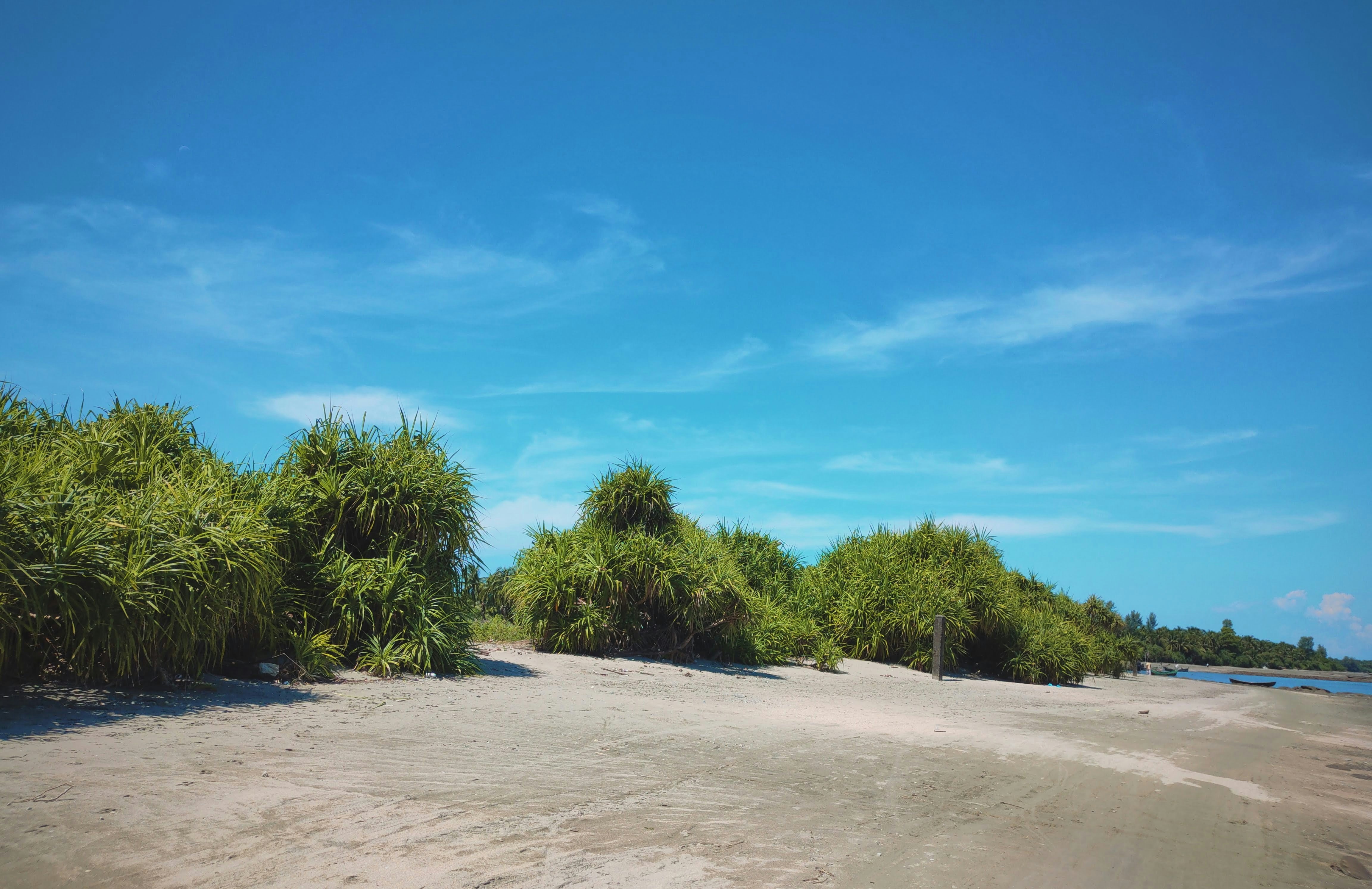 Photo by dihanmustafiz007