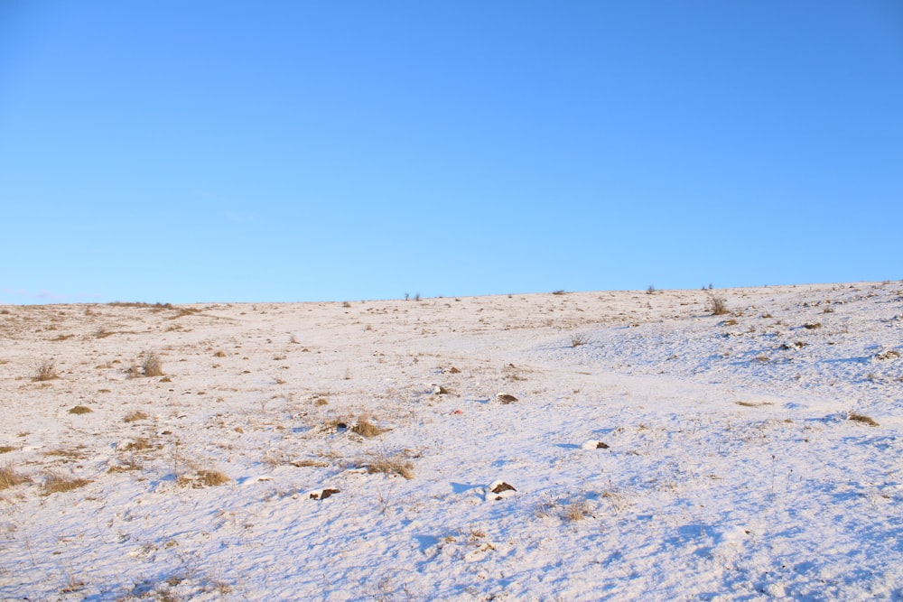 a man riding a horse on top of a snow covered slope