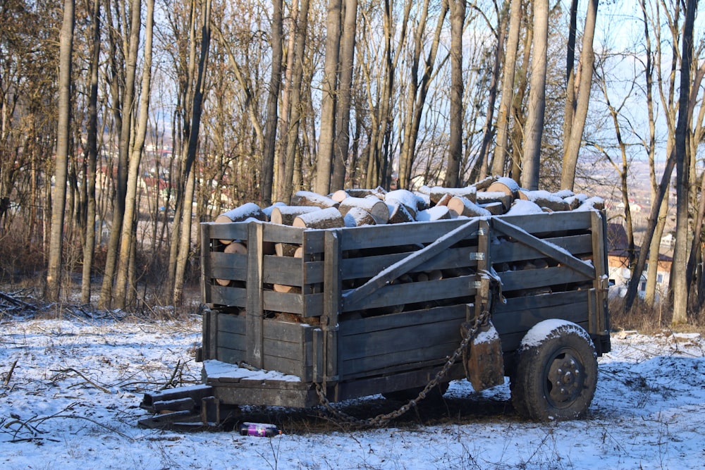 a pile of wood in a forest