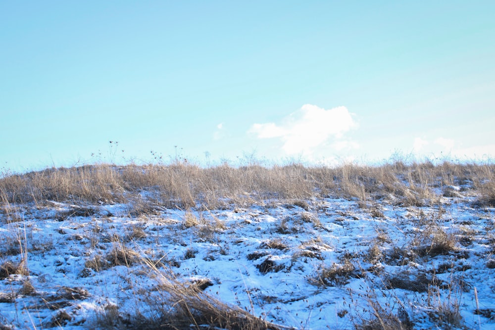 a field covered in snow and grass under a blue sky