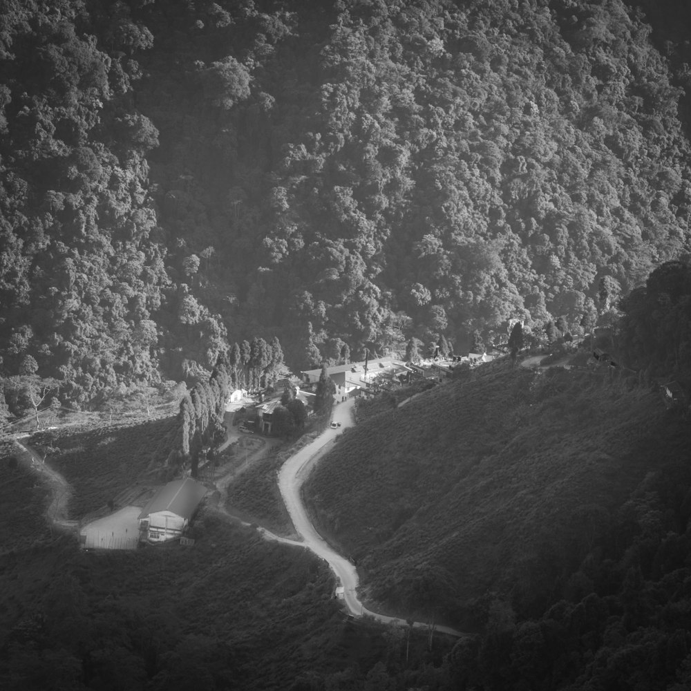 a black and white photo of a winding road