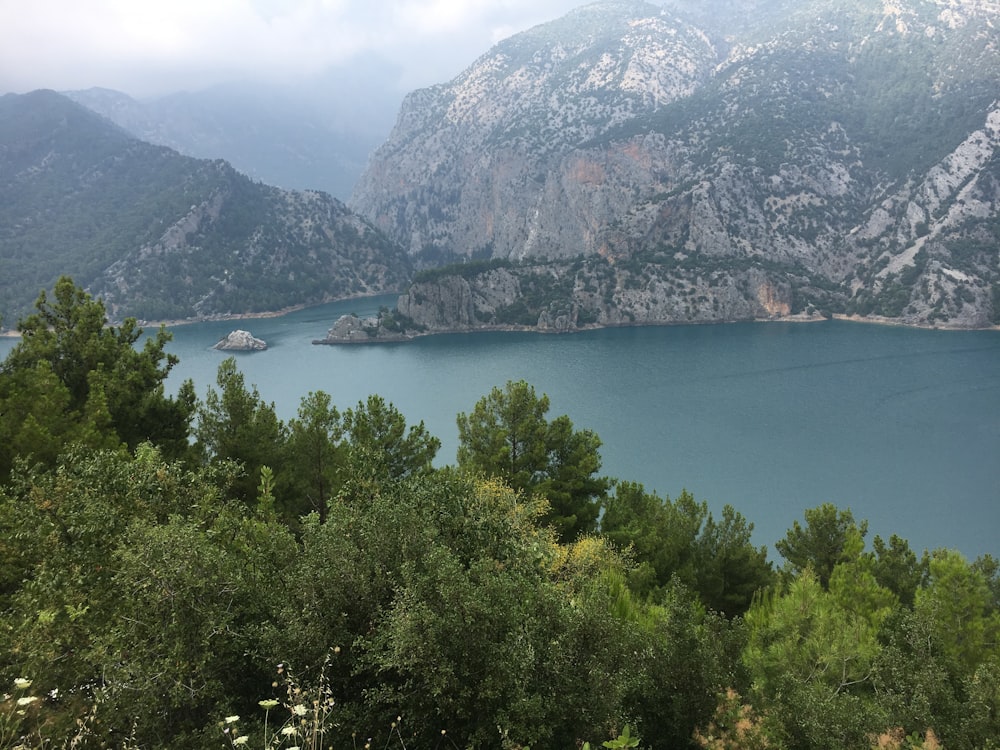 a large body of water surrounded by trees