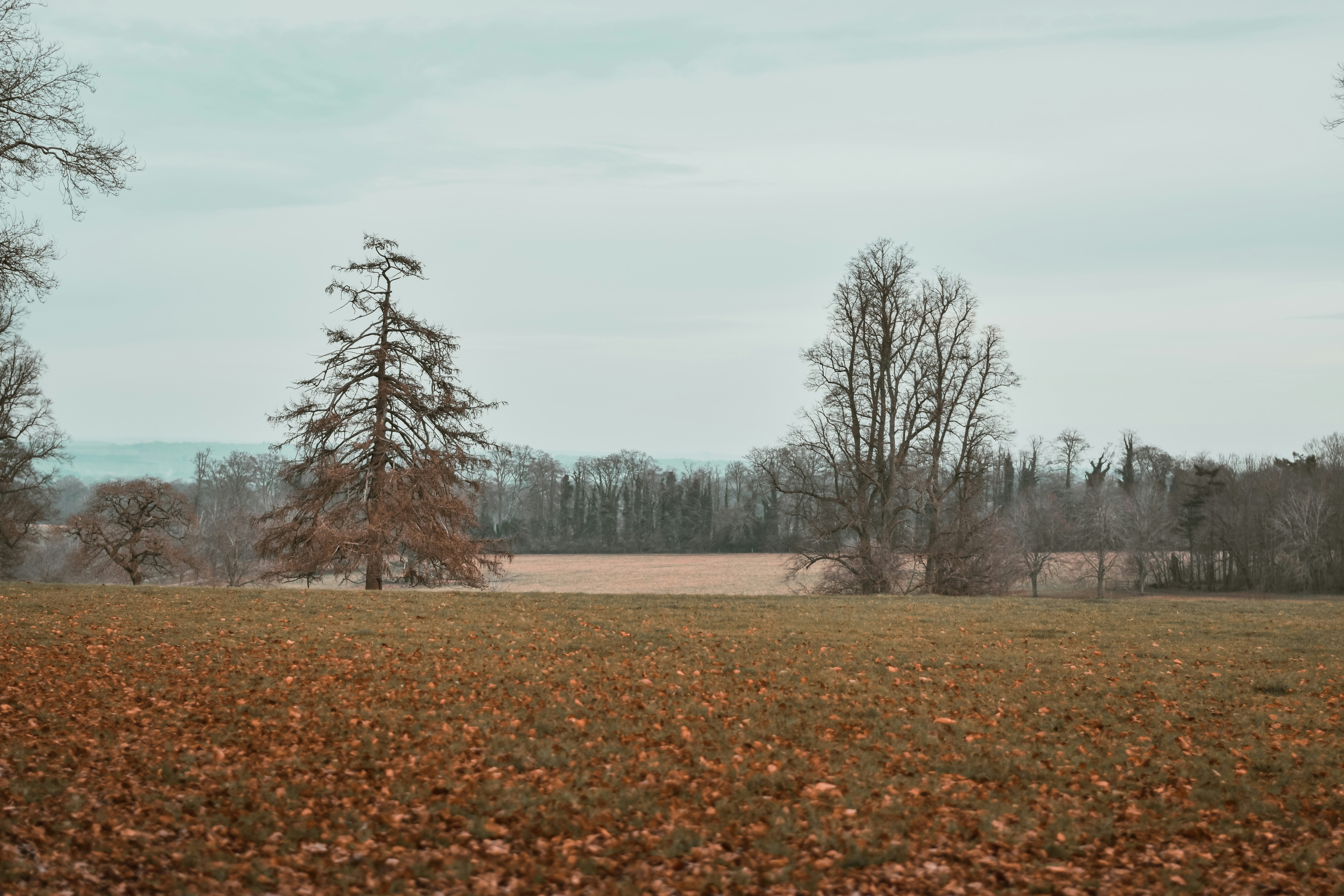 Photo by elliottmason