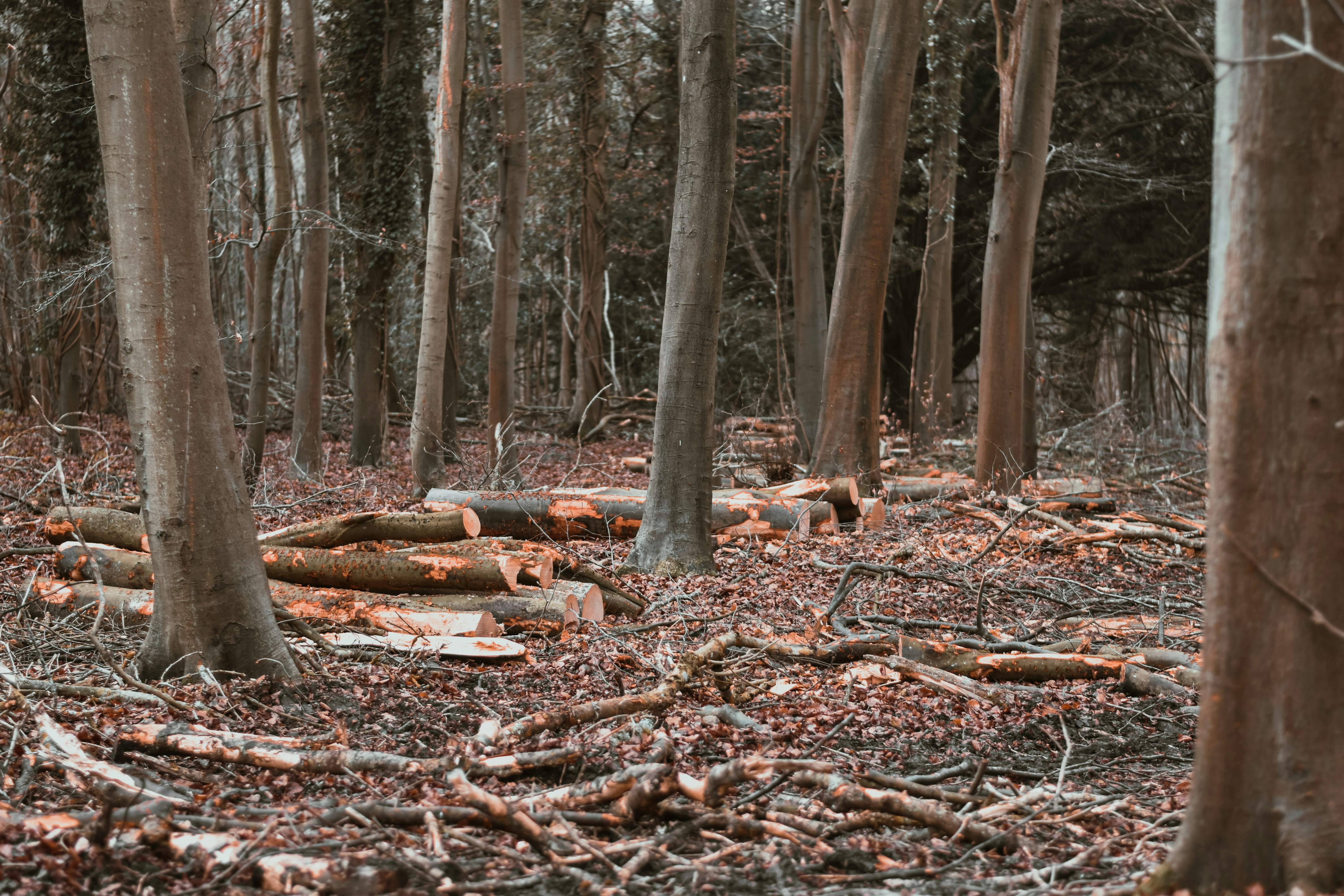 Photo by elliottmason