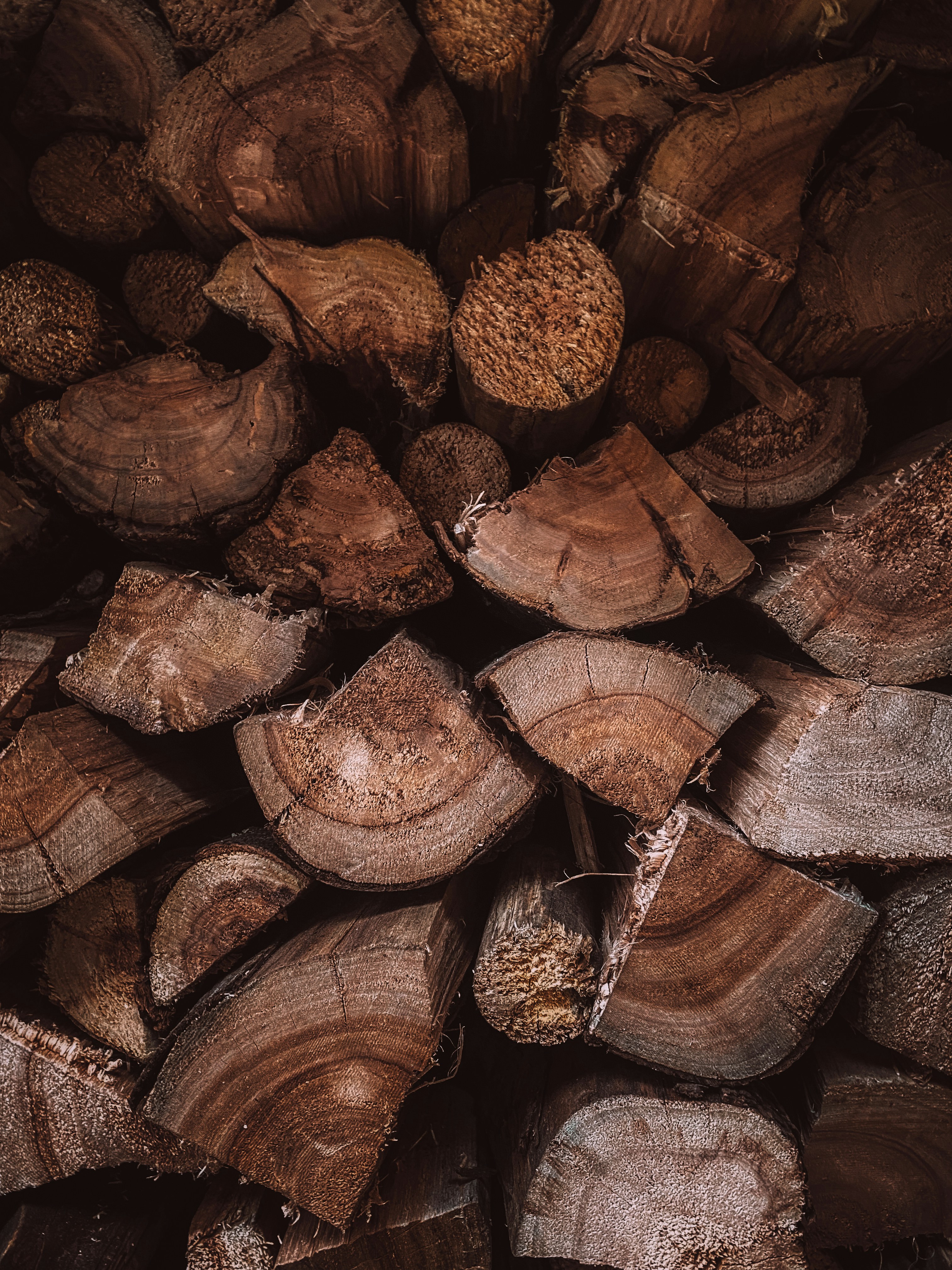 Photo by kylefrederick10