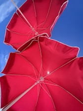 Two red umbrellas with white edges are opened against a clear blue sky. The umbrellas' frames and spokes are visible, creating a pattern against the fabric.