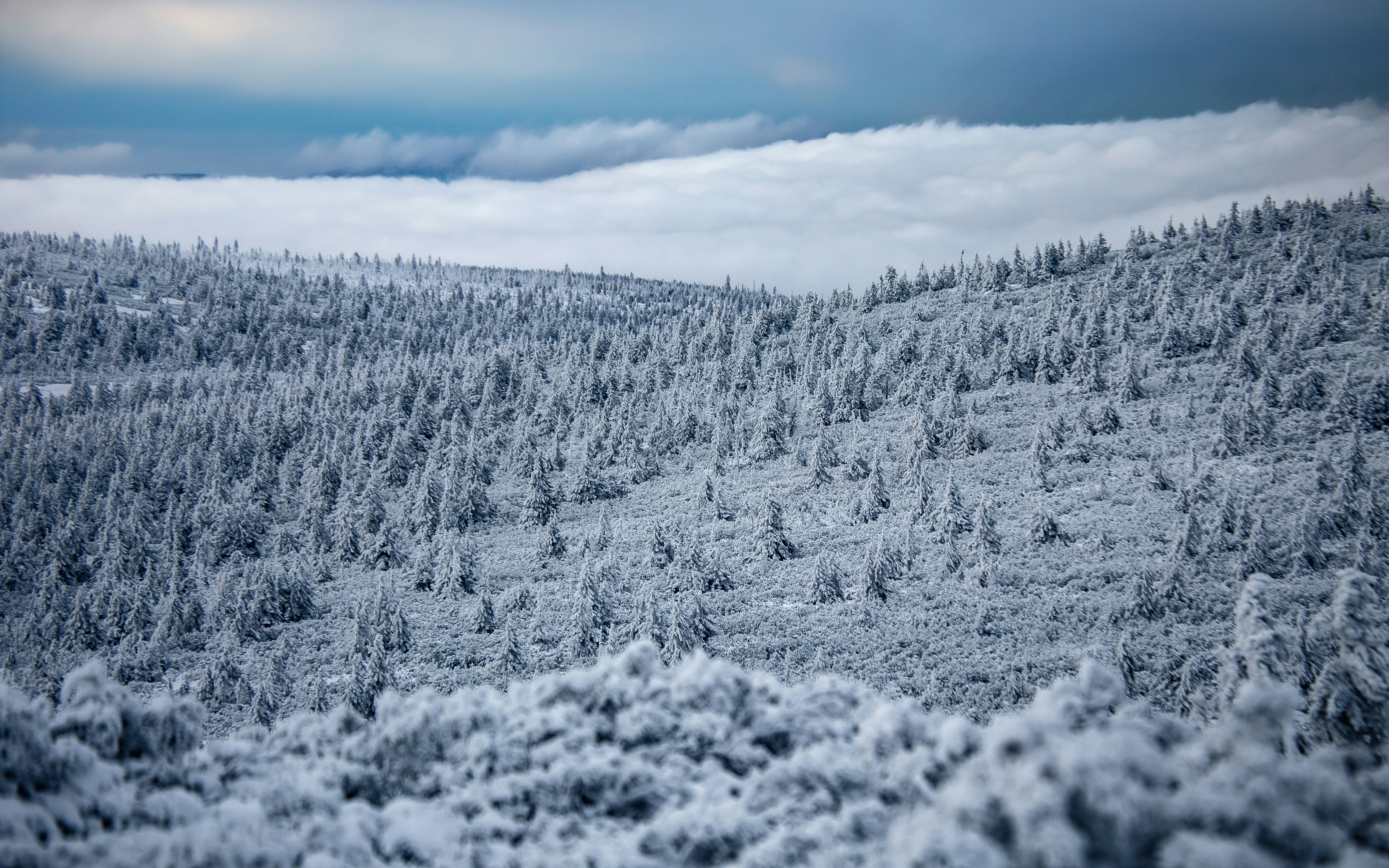 Photo by marekpiwnicki