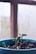 A close-up of a small plant with a few leaves growing in a blue pot. The plant is surrounded by soil and other small seedlings. The background shows a window with water droplets, suggesting a rainy or humid environment.